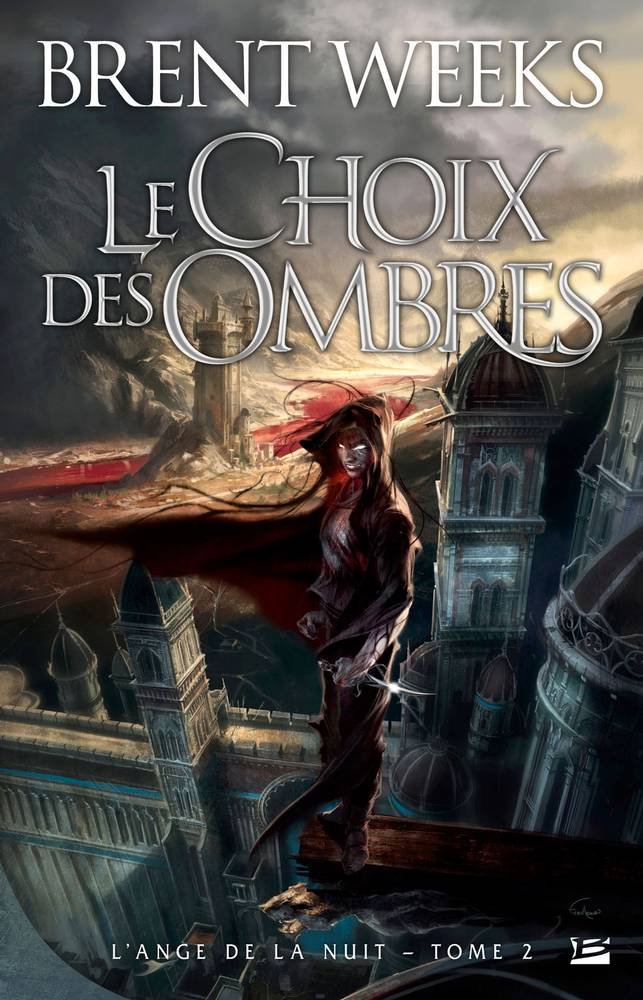 L'Ange de la nuit - Le Choix des Ombres - broché