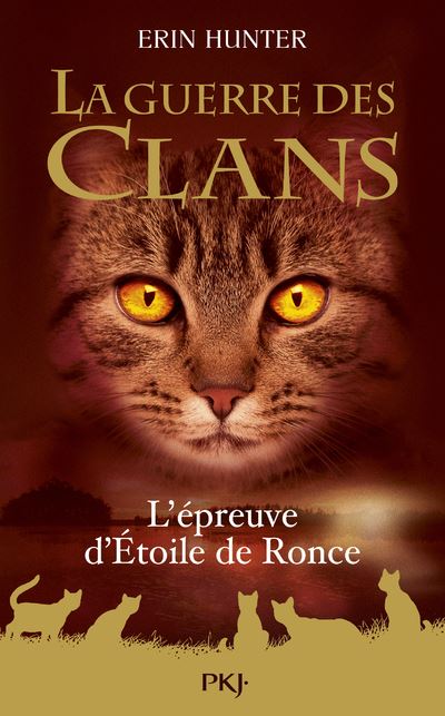 La Guerre des Clans - L'Épreuve d'Étoile de Ronce